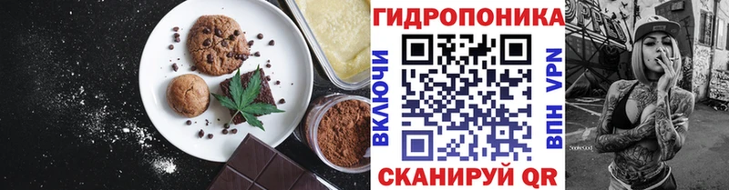 Canna-Cookies конопля Сычёвка