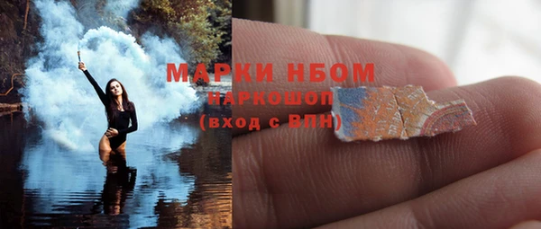 хмурый Арсеньев