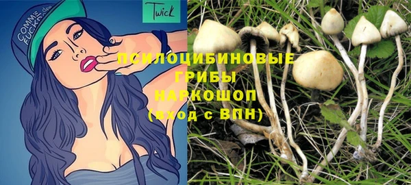 спайс Баксан
