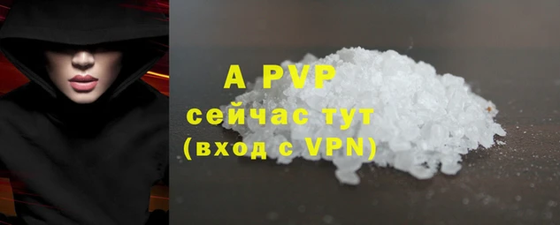 спайс Баксан