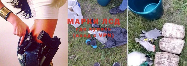 спайс Баксан