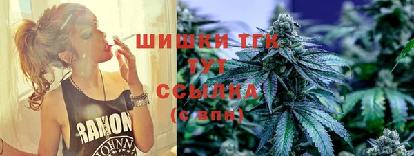 спайс Баксан