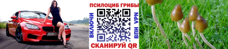 где продают   Сычёвка  mega онион  Псилоцибиновые грибы ЛСД 