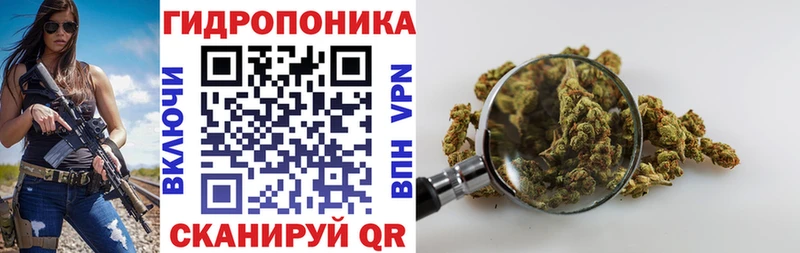 Марихуана семена  KRAKEN как зайти  Сычёвка 